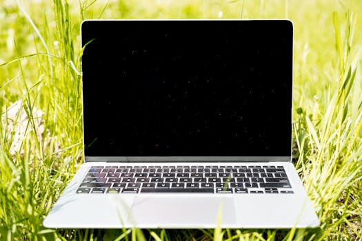 2024 Guide: Jaký Notebook Vybrat pro Umělecké Obory?